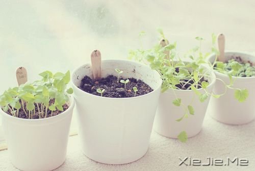 簲ZԼxҪ (10)