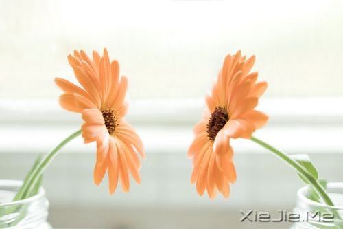 簲Zڄe˵ʧԼ· (1)