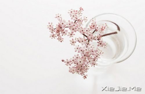 簲Zڄe˵ʧԼ· (2)
