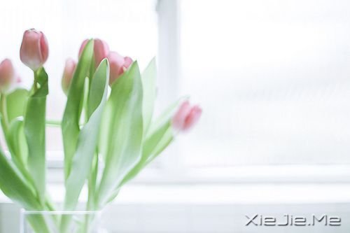 簲Zڄe˵ʧԼ· (4)