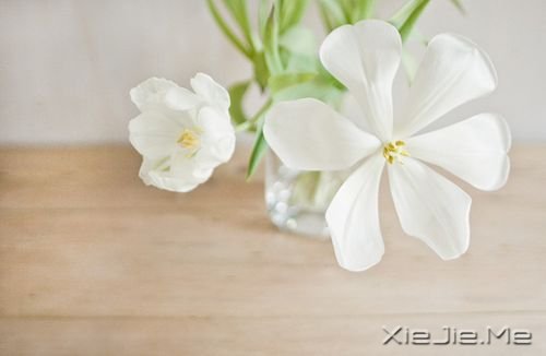 簲Zڄe˵ʧԼ· (8)