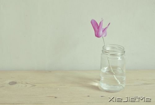 簲Zڄe˵ʧԼ· (9)