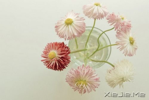 簲Zڄe˵ʧԼ· (10)