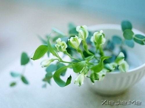 Z(y)c(dn)δ(li)F(xin)ںúŬ (2)