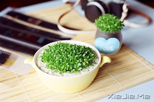 Z(y)c(dn)δ(li)F(xin)ںúŬ (4)