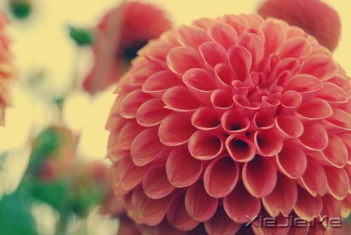 簲Z]ЗϢĵطﶼ (5)