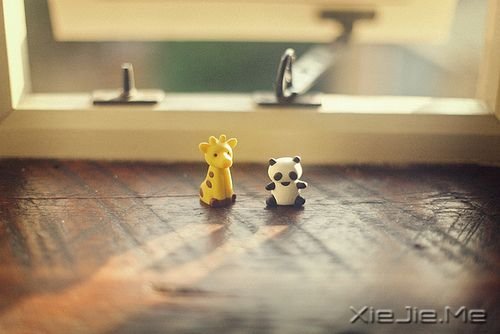 簲Z(y)(jin)˿(hu)^ (9)