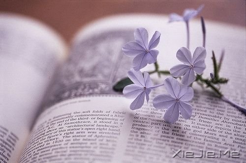 簲Zסgͽ(jng)סٝ (8)