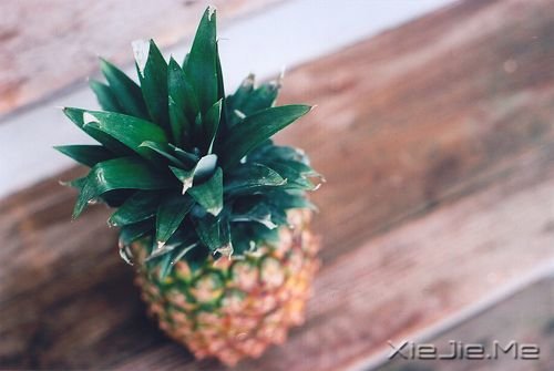 簲Z҈(zh)ֵ (3)