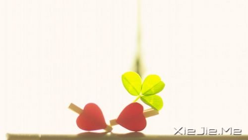 簲Z҈(zh)ֵ (6)