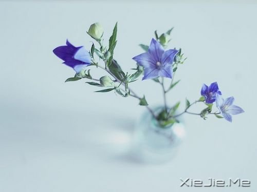 簲Z(y)Ůһ̎񠔂һ˼ (2)