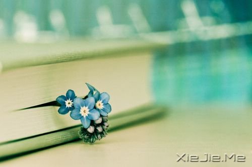 簲Z(y)Ůһ̎񠔂һ˼ (8)