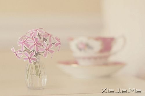 ZSԼS (10)