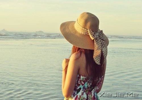 fҪԼ (4)