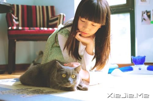 fҪԼ (5)